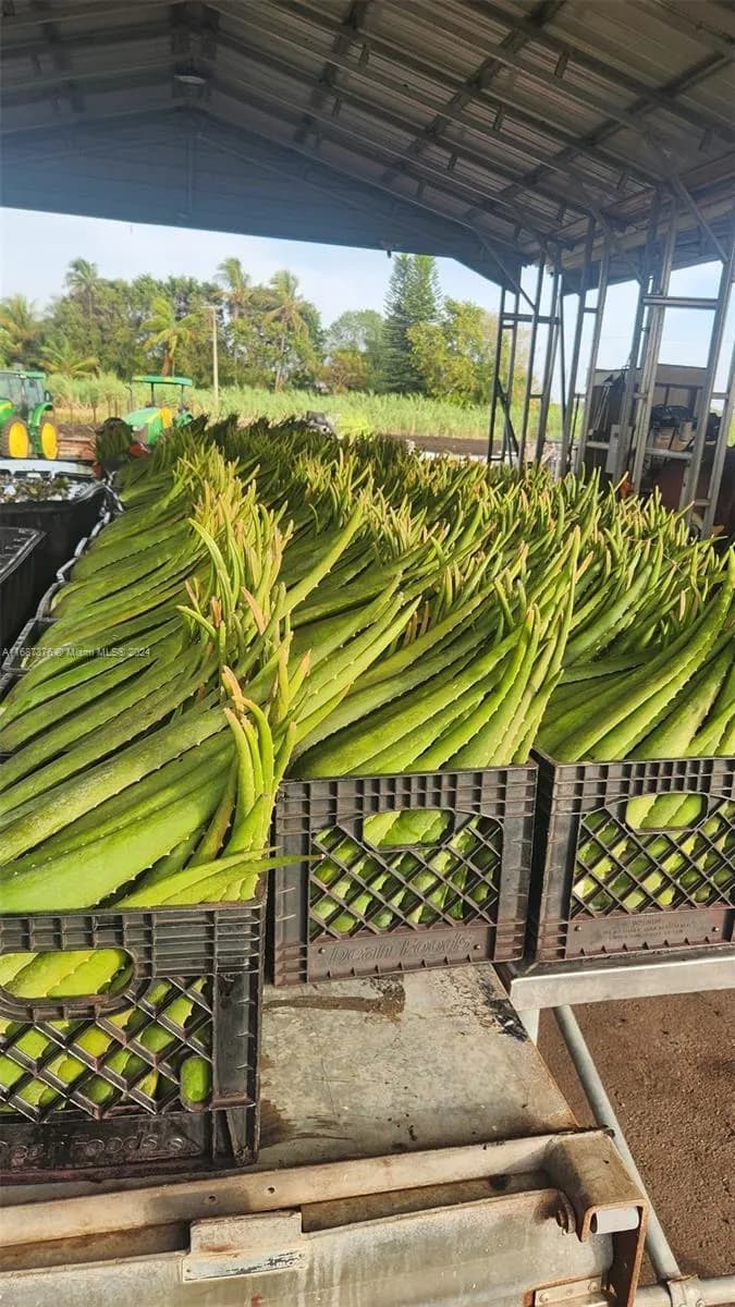 47430 State Rd #80, Palm Beach FL 33440