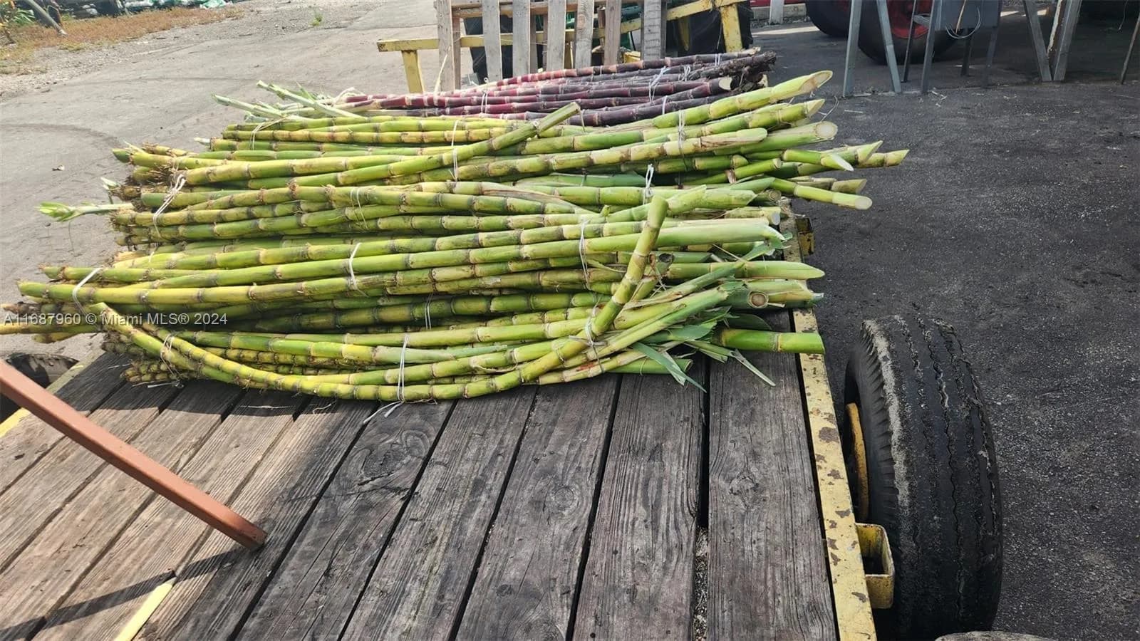 80 State RD Miami Canal Rd, Unincorporated Palm Beach County FL 33440