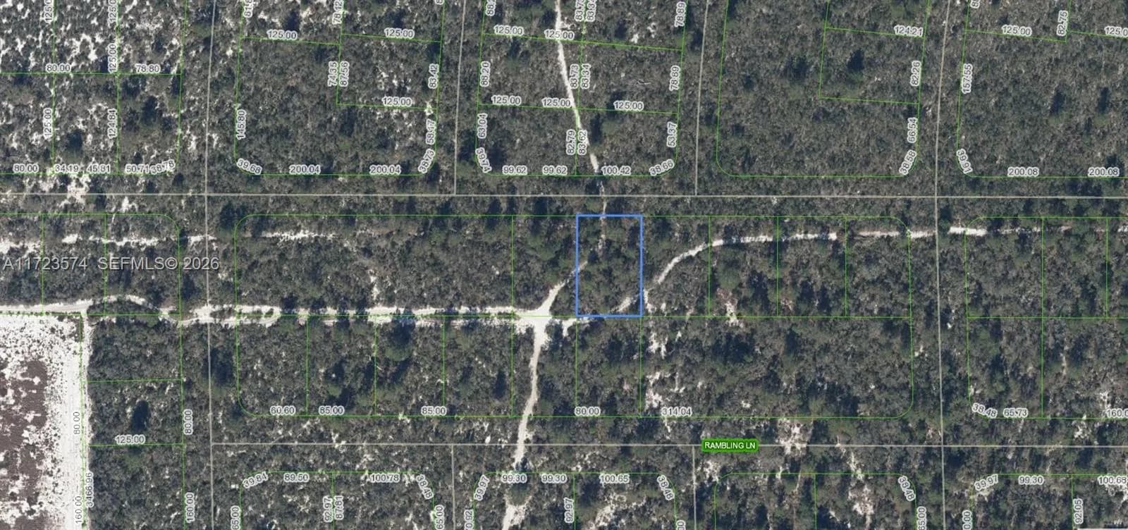 437 Souvenir Lane, Lake Placid FL 33852