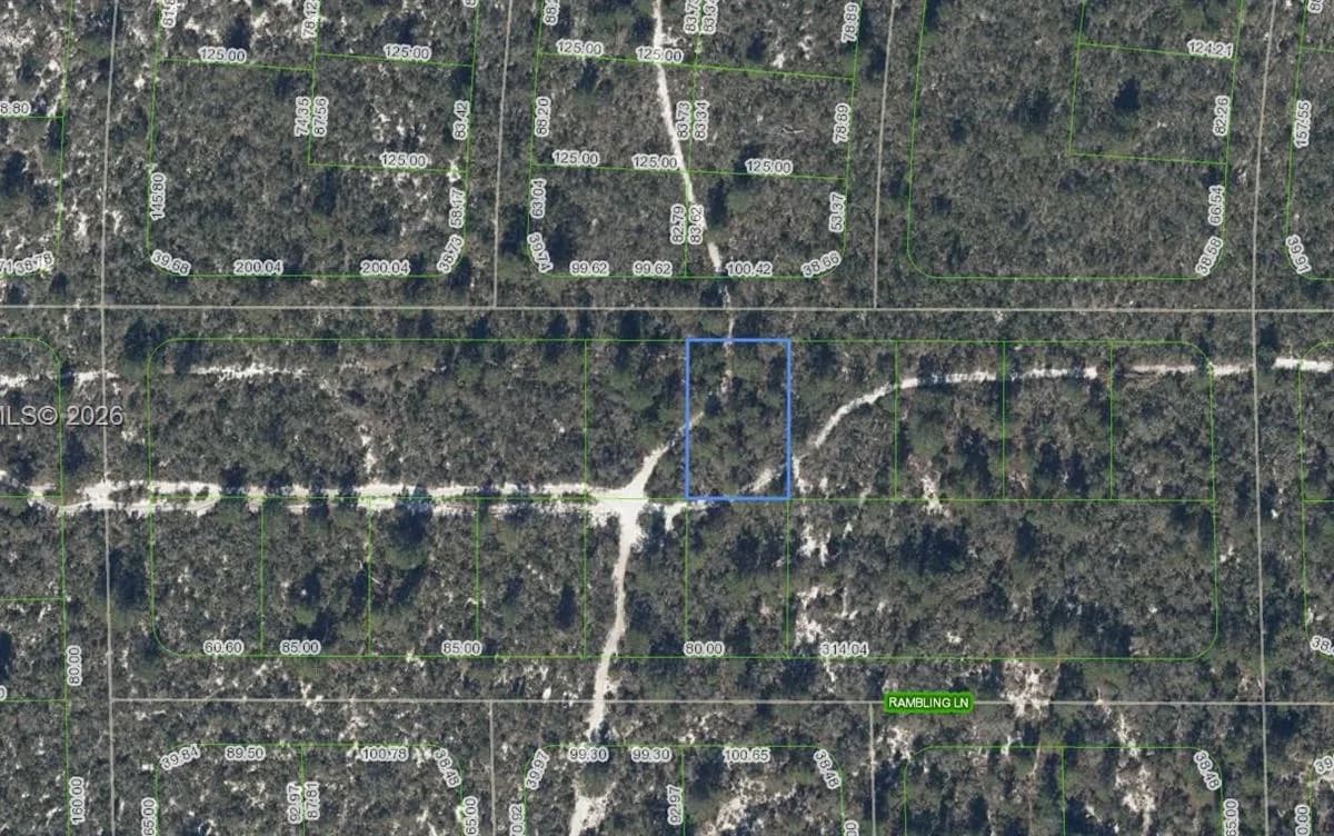 437 Souvenir Lane, Lake Placid FL 33852