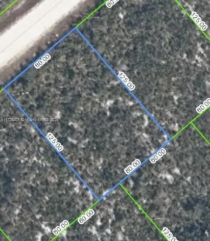 3154 Oregon Place, Lake Placid FL 33852