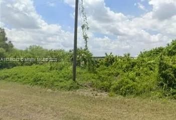 7025 JOLLY CIRCLE, La Belle FL 33935