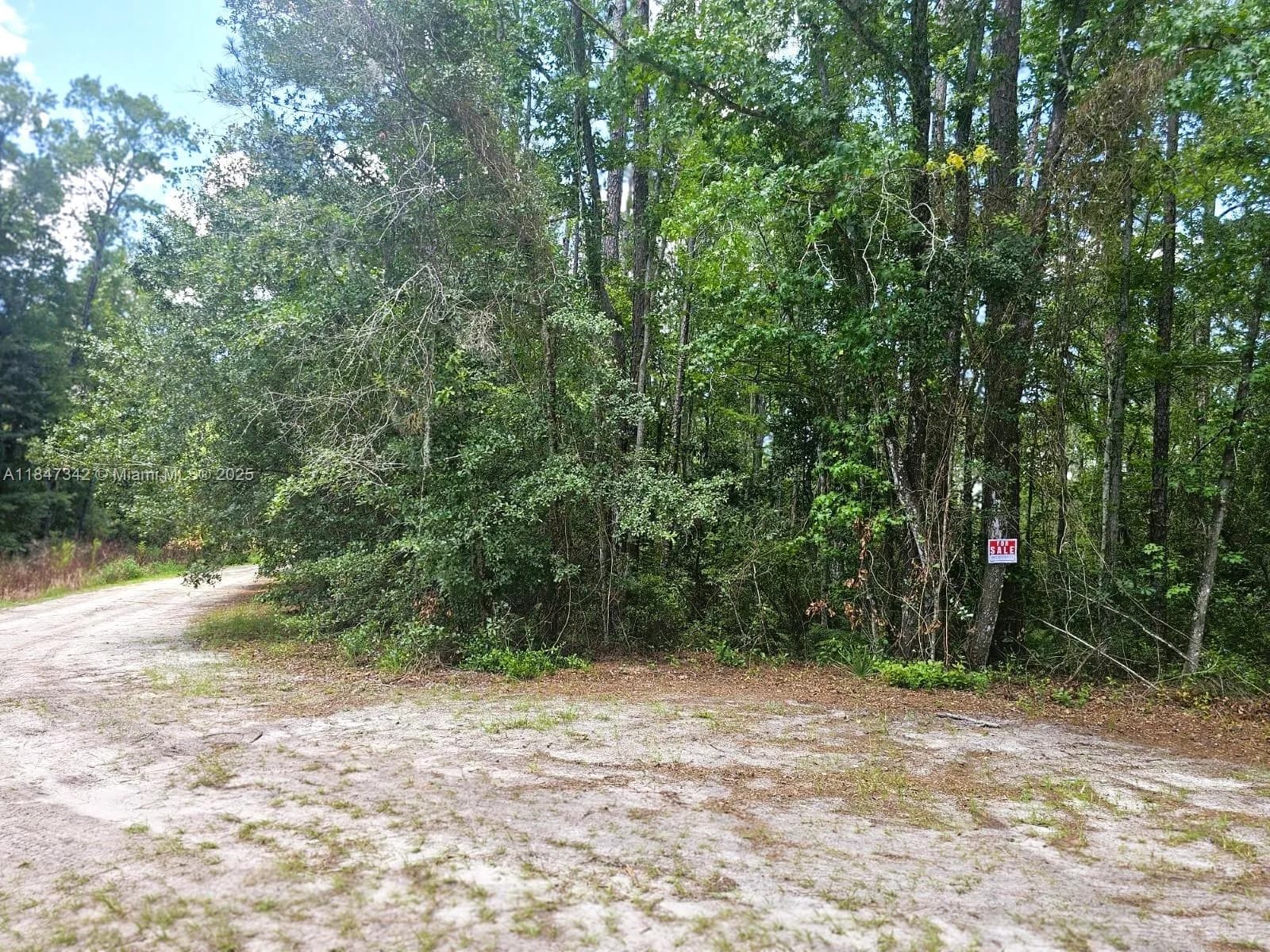 0 Unassigned Location Re, Palatka FL 32177