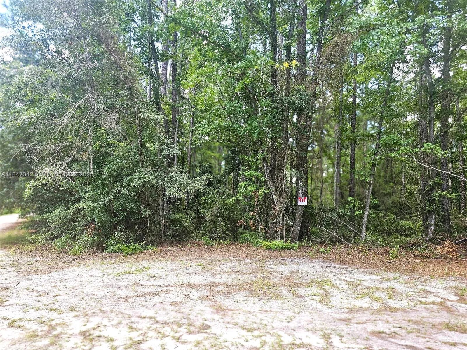 0 Unassigned Location Re, Palatka FL 32177