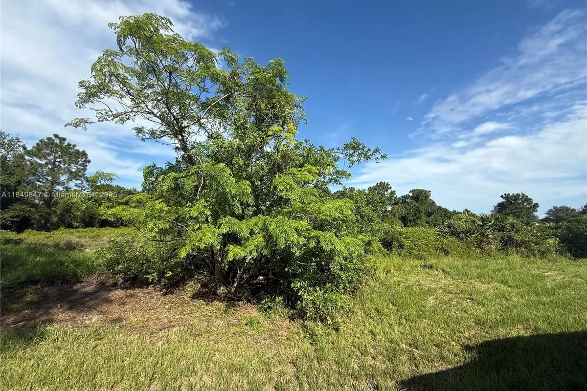 370 N PALOMINO ST, Clewiston FL 33440