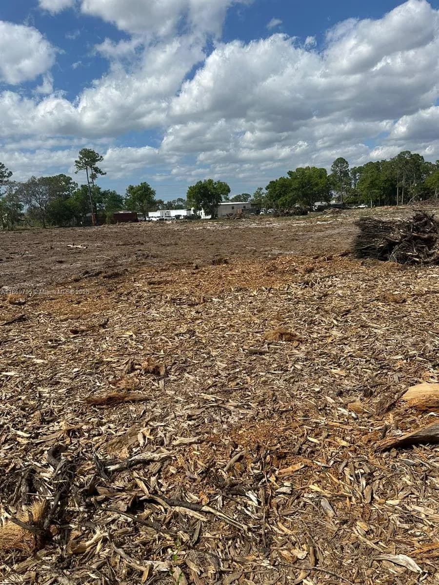 155 E Lincoln, La Belle FL 33935