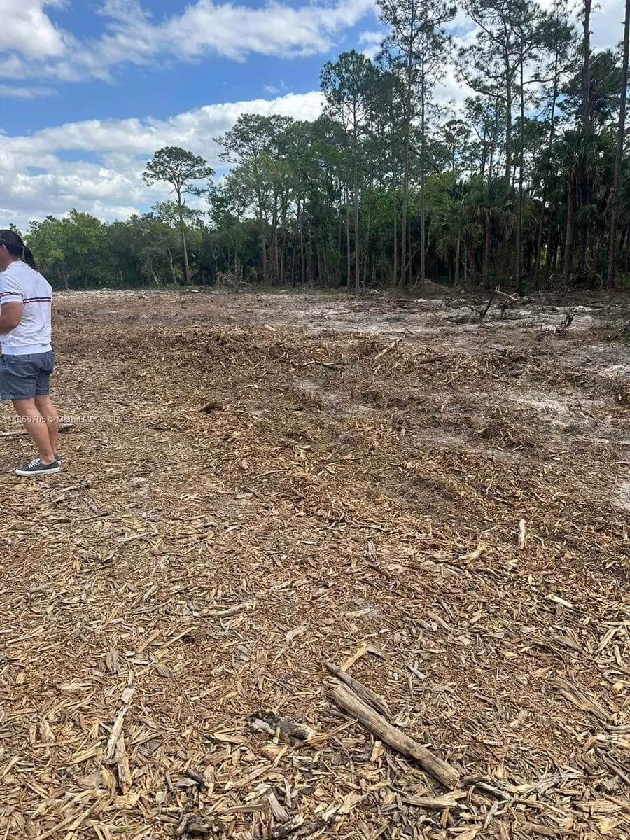 155 E Lincoln, La Belle FL 33935