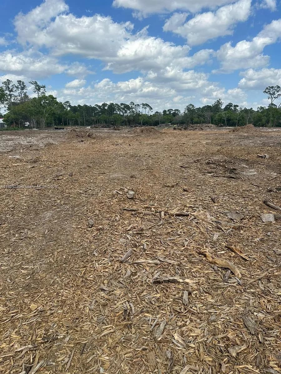 155 E Lincoln, La Belle FL 33935