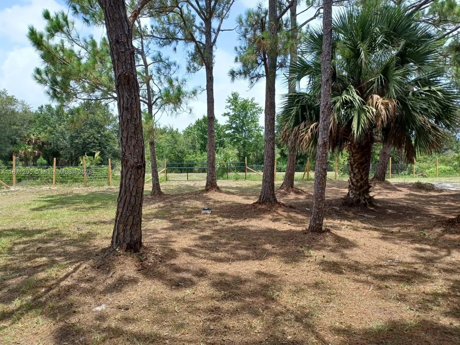 17010 NW 270th st, Okeechobee FL 34972