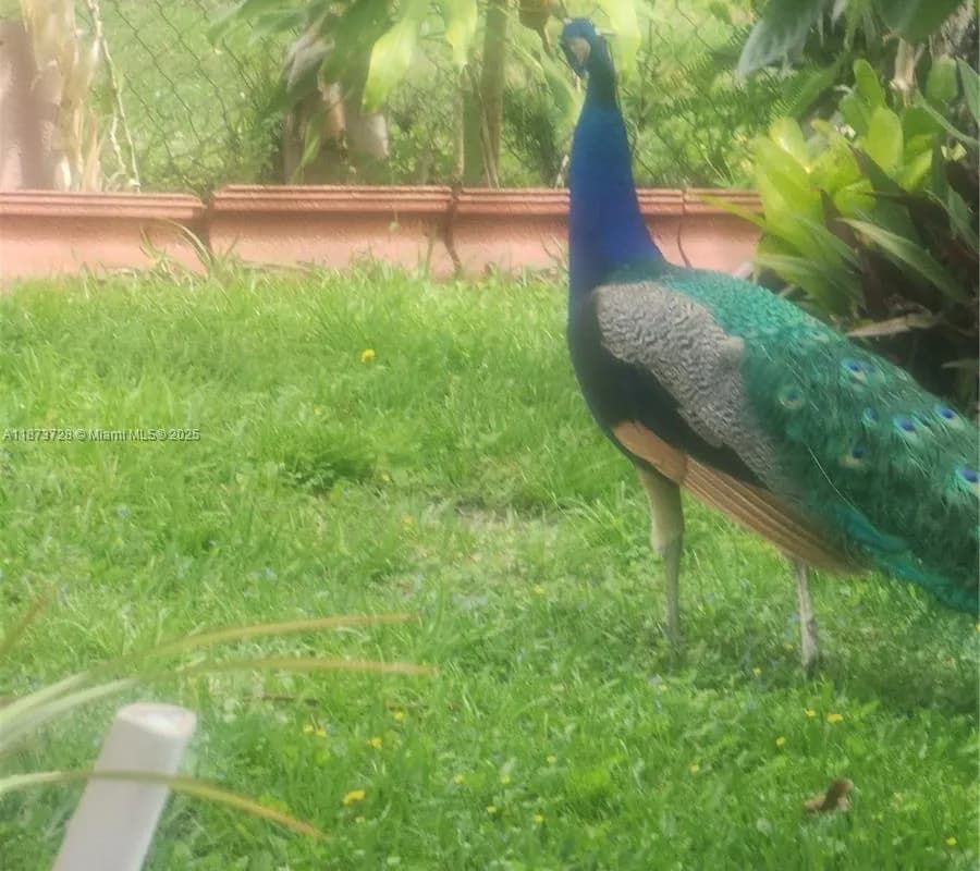 100 S SECRETARIAT, Inverness FL 34453