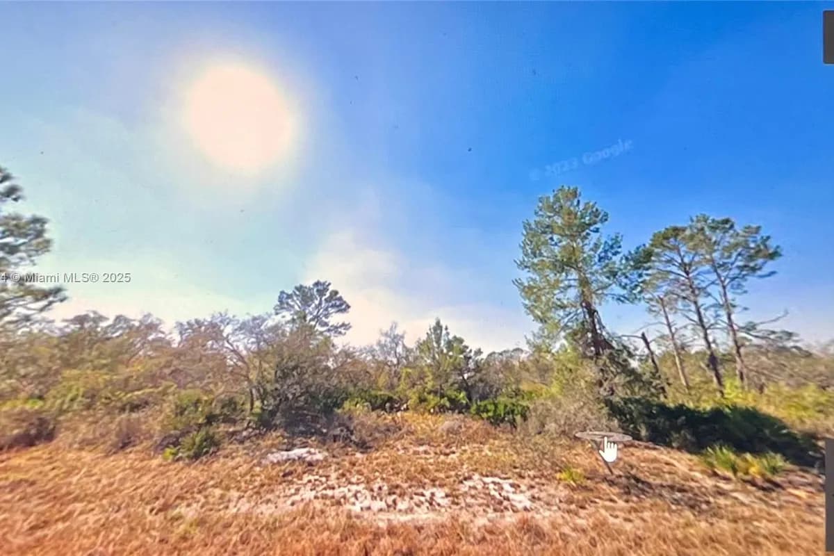 1048 hackmatack, Lake Placid FL 33852