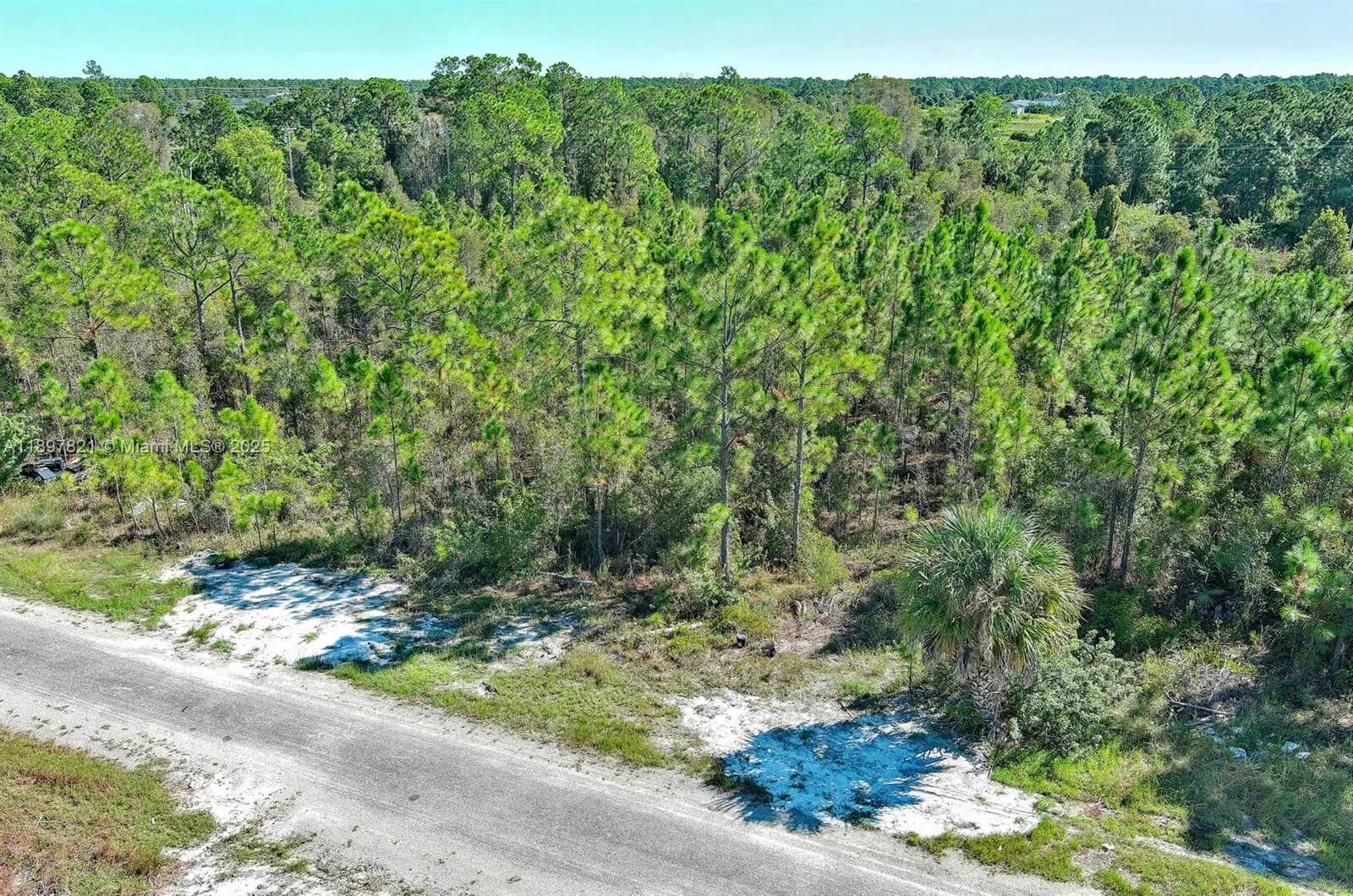 839 KALEY AVE S, Lehigh Acres FL 33974