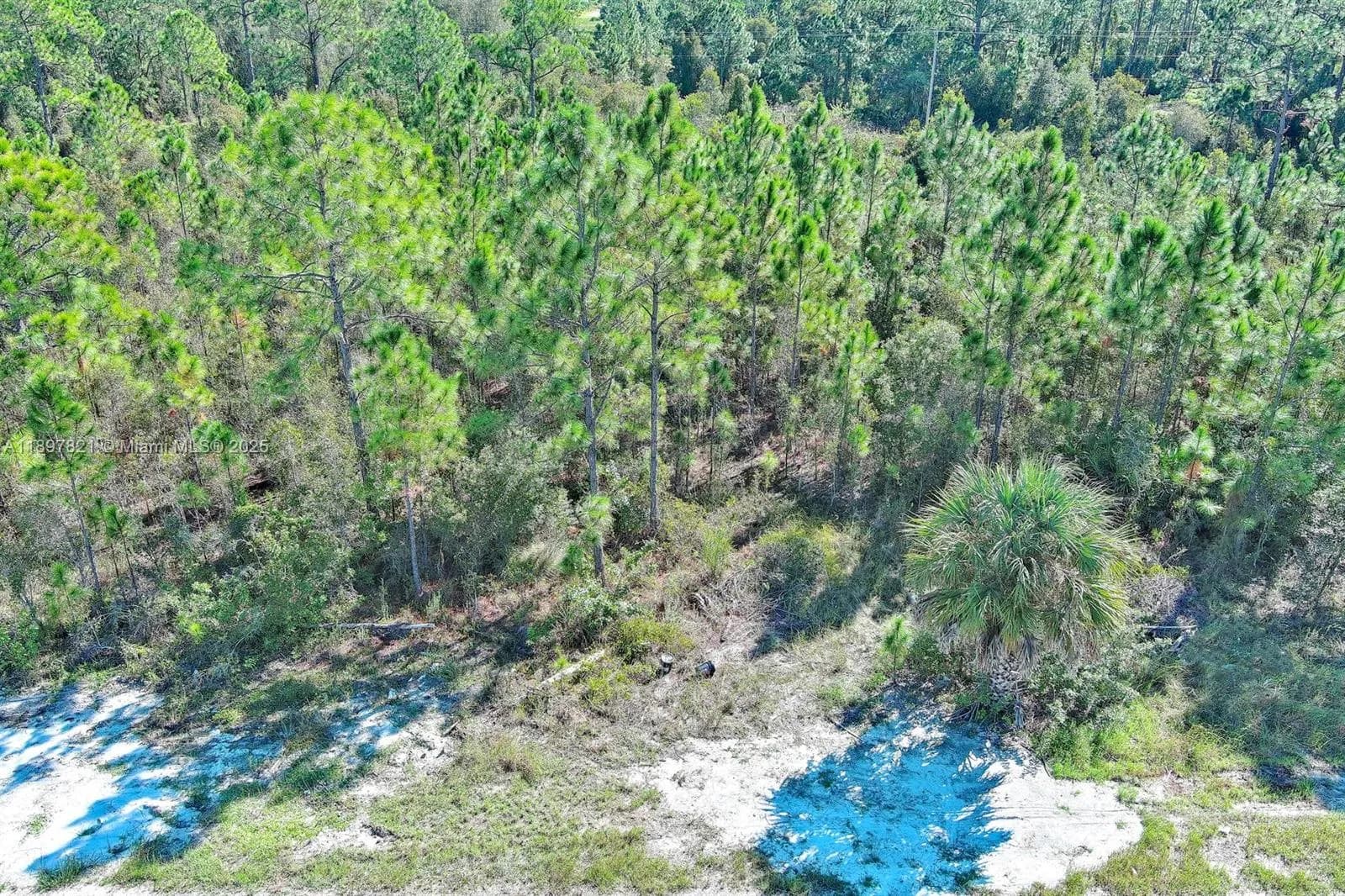 839 KALEY AVE S, Lehigh Acres FL 33974