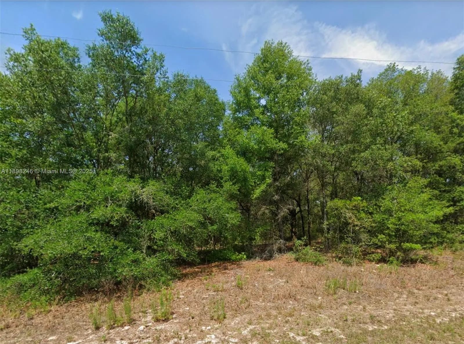 11451 N clare, Citrus Springs FL 34434