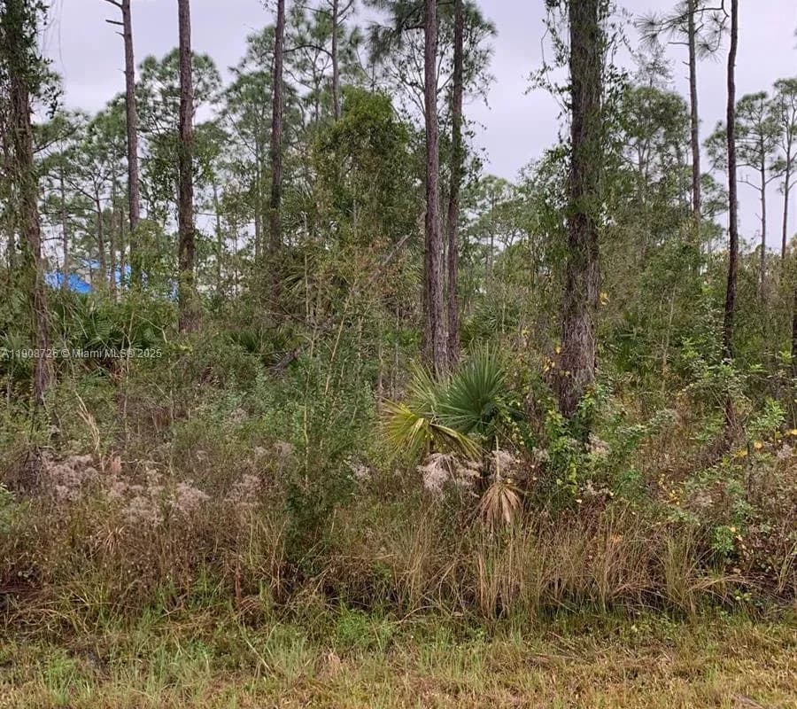 28338 Calais Ave, Punta Gorda FL 33955