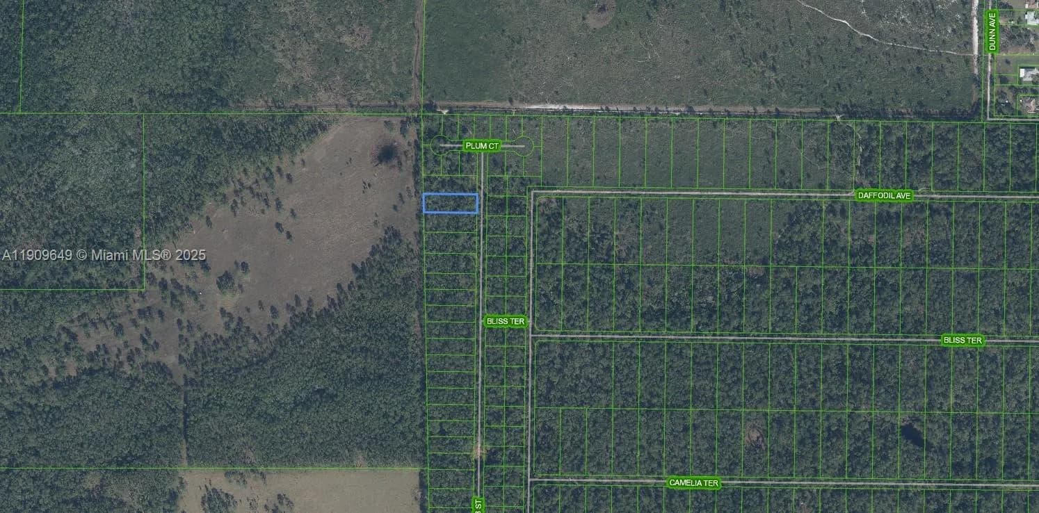 4705 Rhubarb Street, Sebring FL 33875