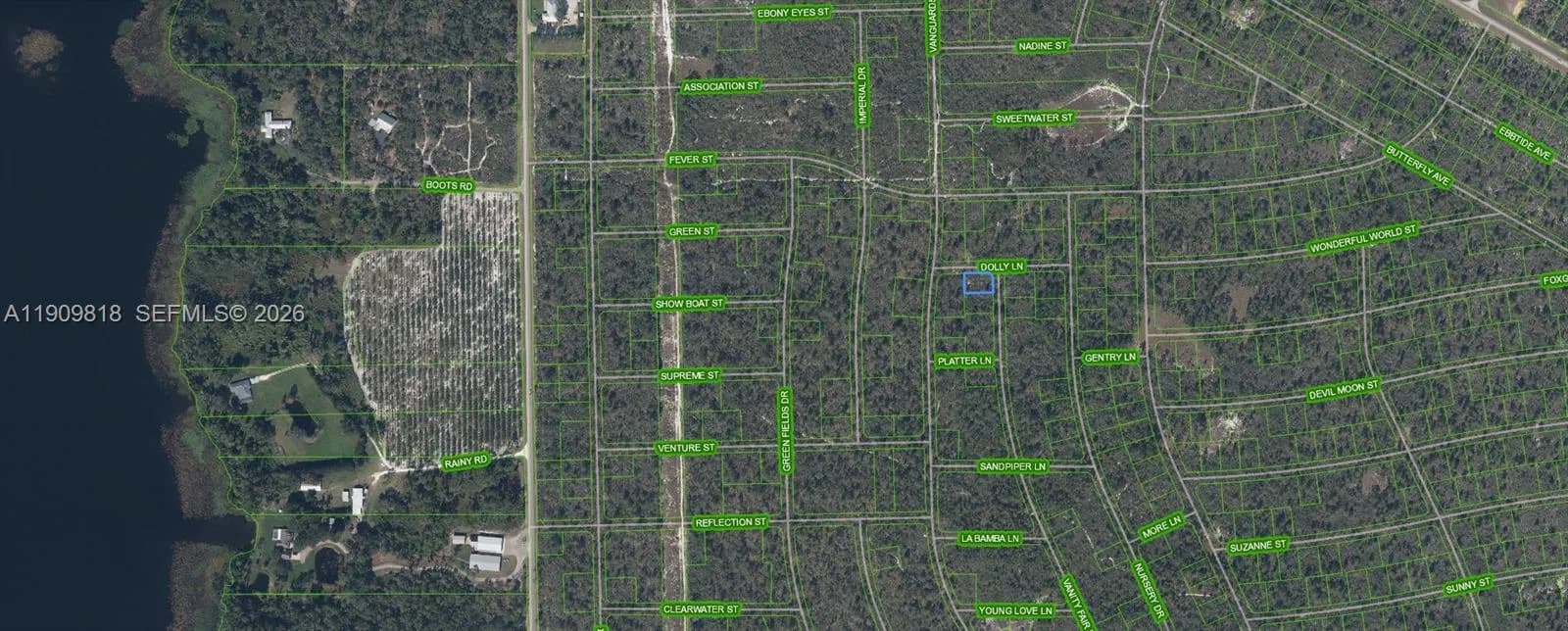 305 Dolly Lane, Lake Placid FL 33852