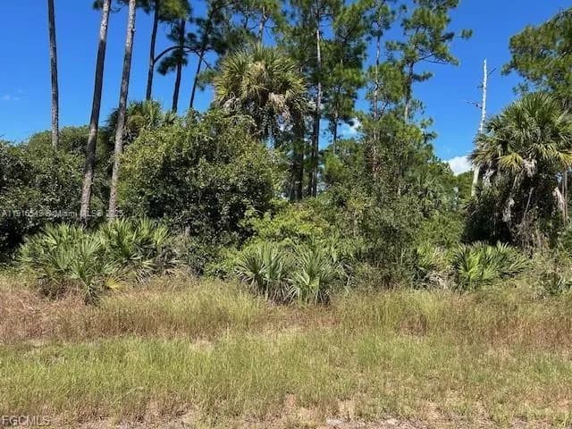 675 NASSAU CIR, La Belle FL 33935