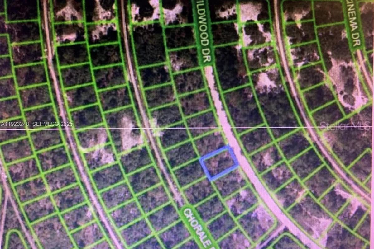 358 WILDWOOD DR, Lake Placid FL 33852