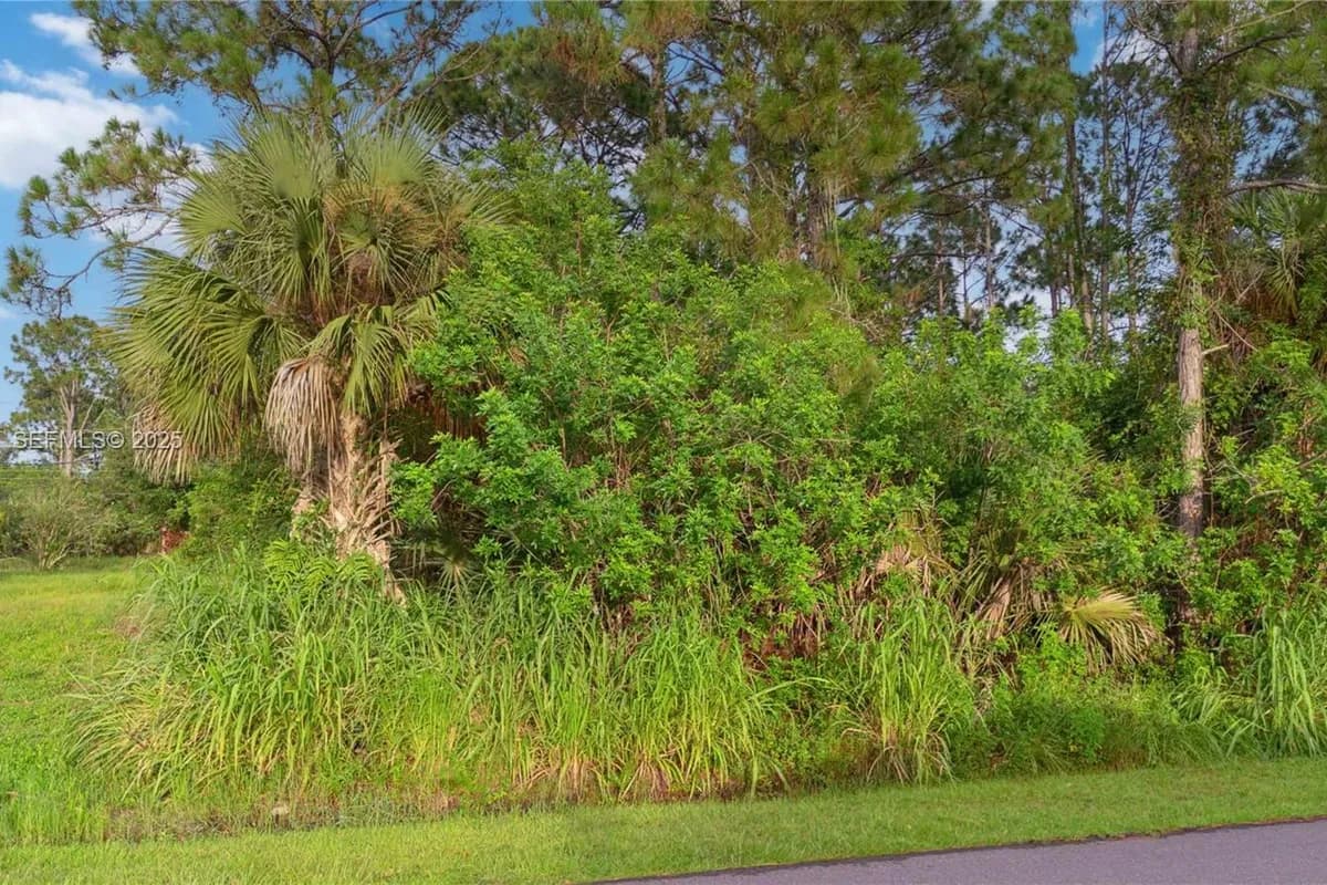 2761 foxglove ave sw, Palm Bay FL 32908