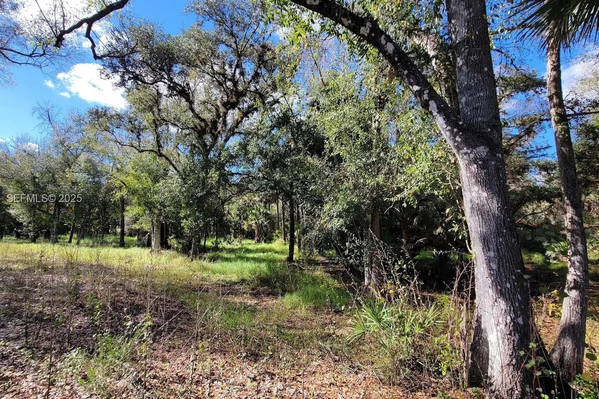 1 Wright St., La Belle FL 33935