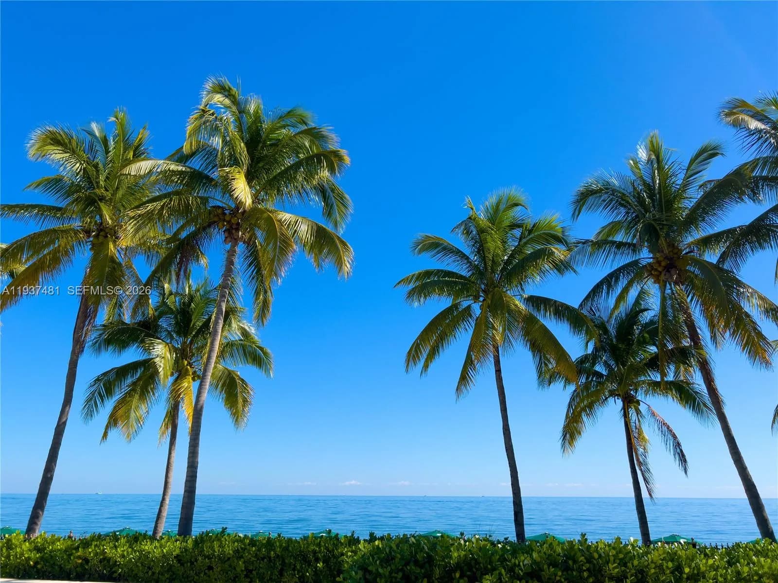 781 Crandon Blvd # 804, Key Biscayne FL 33149