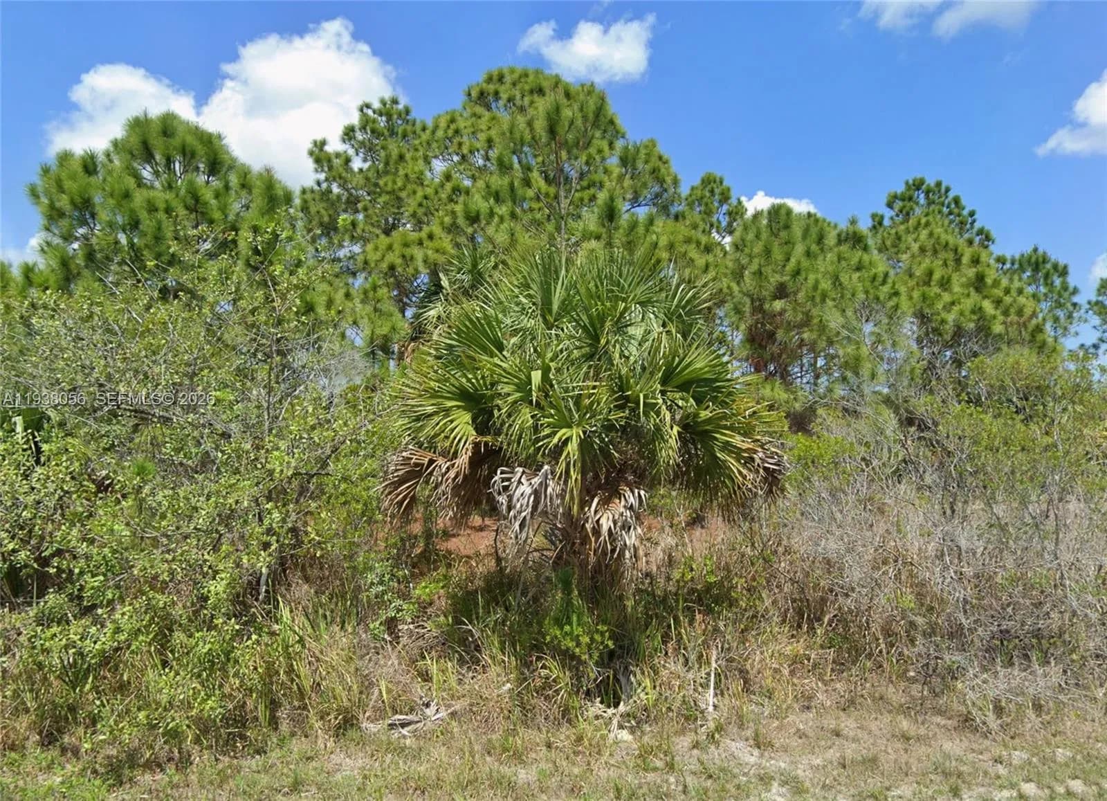 740 SW Opal, Palm Bay FL 32908