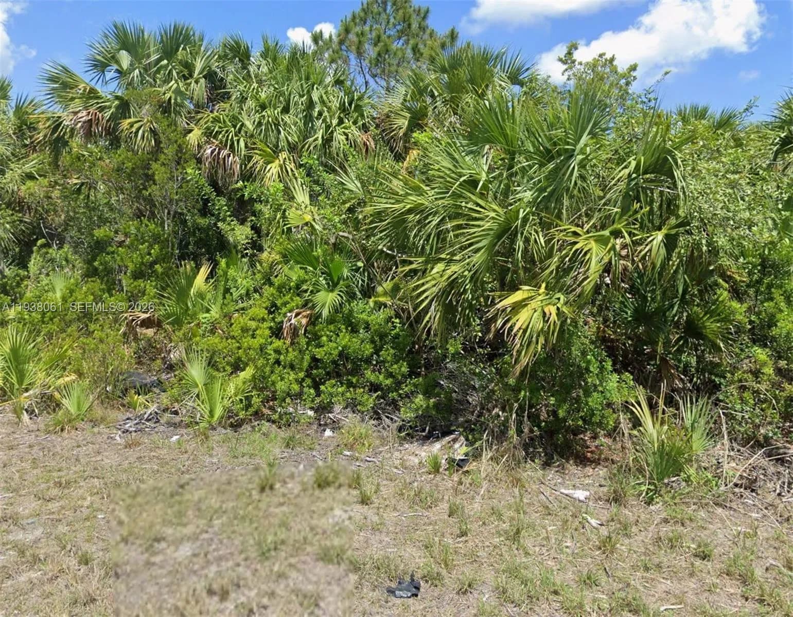 3051 SW Libby Ave, Palm Bay FL 32908