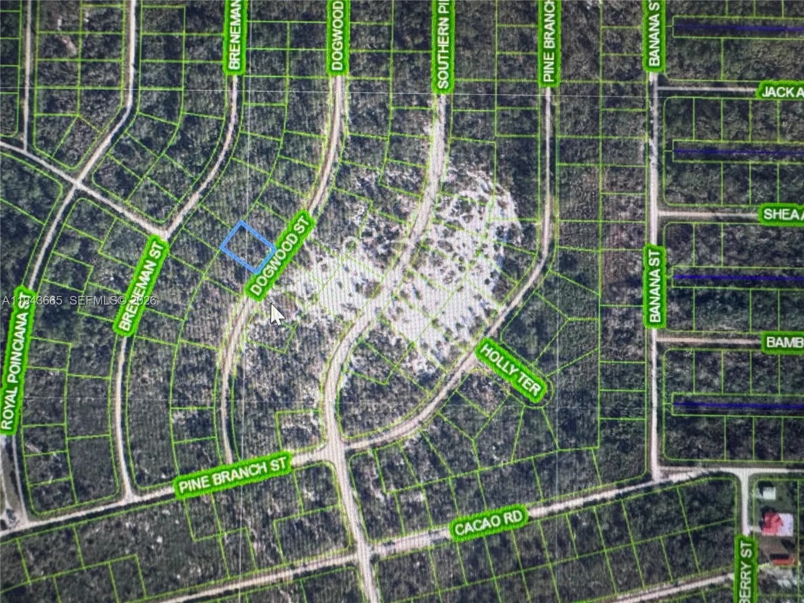 1230 Dogwood, Lake Placid FL 33852