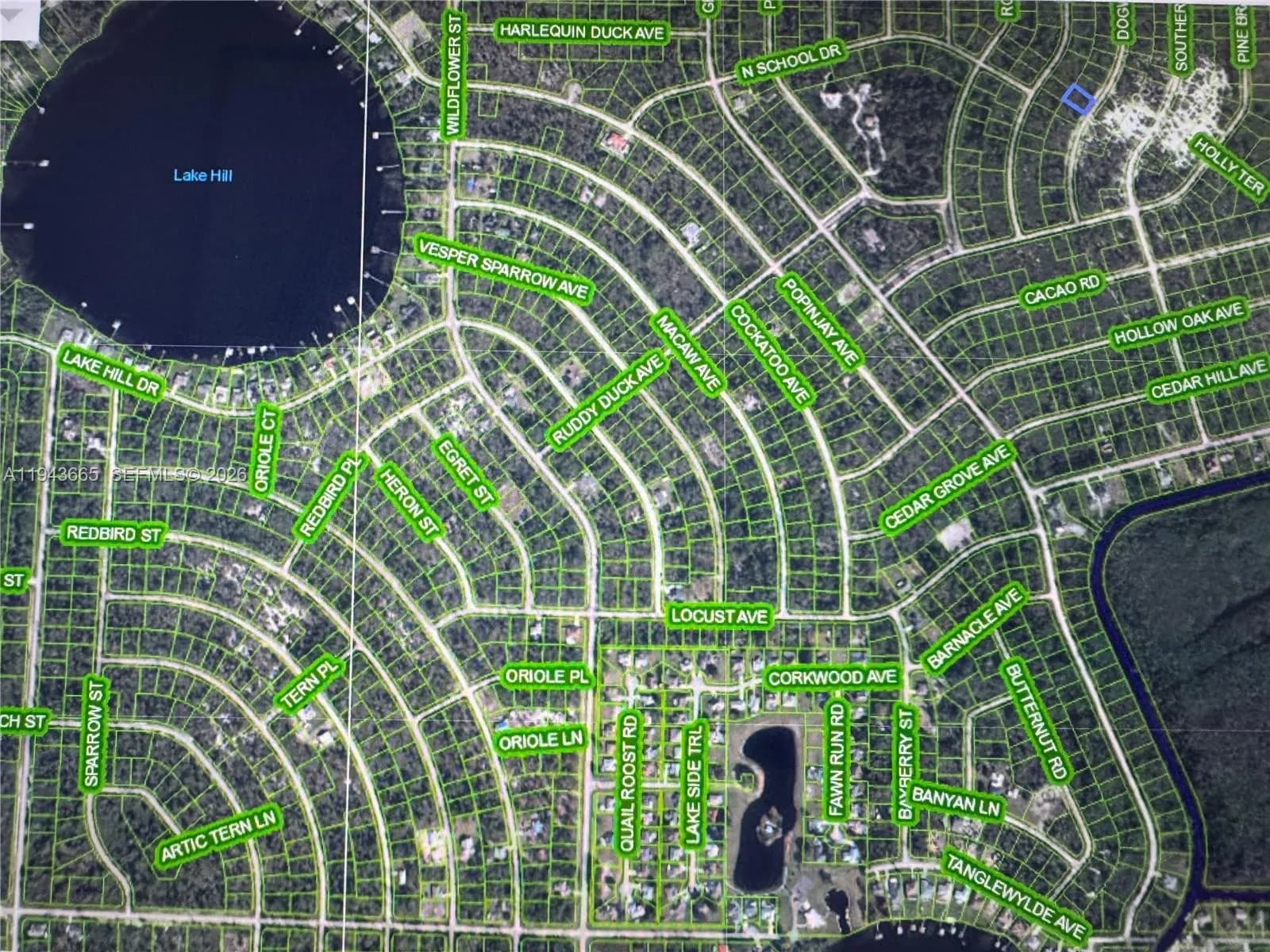 1230 Dogwood, Lake Placid FL 33852