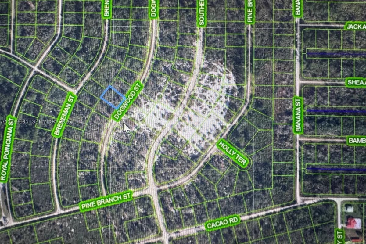 1230 Dogwood, Lake Placid FL 33852