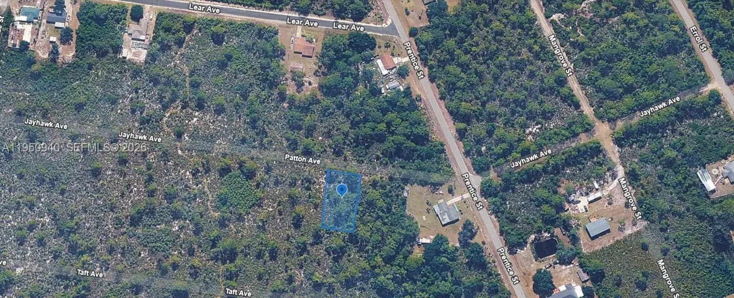 1432 JAYHAWK AVE, Lake Placid FL 33852