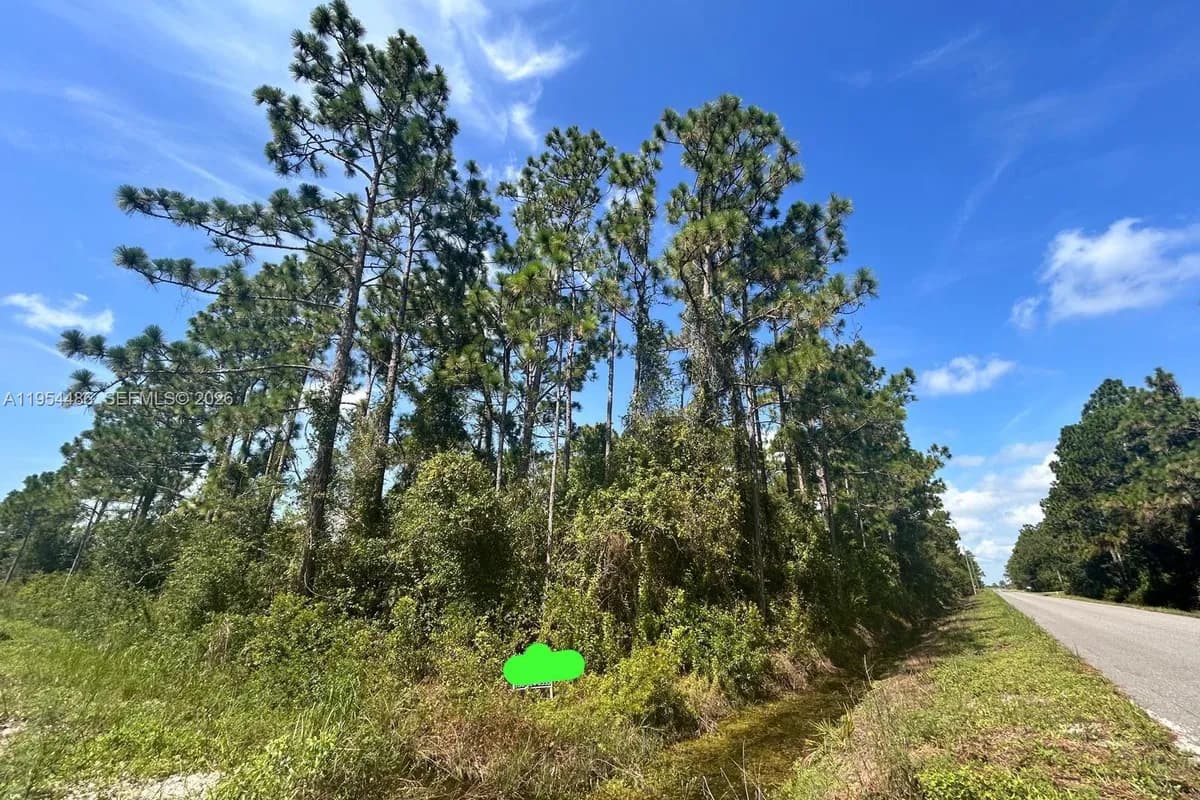 966 NW Challenger, Lake Placid FL 33852