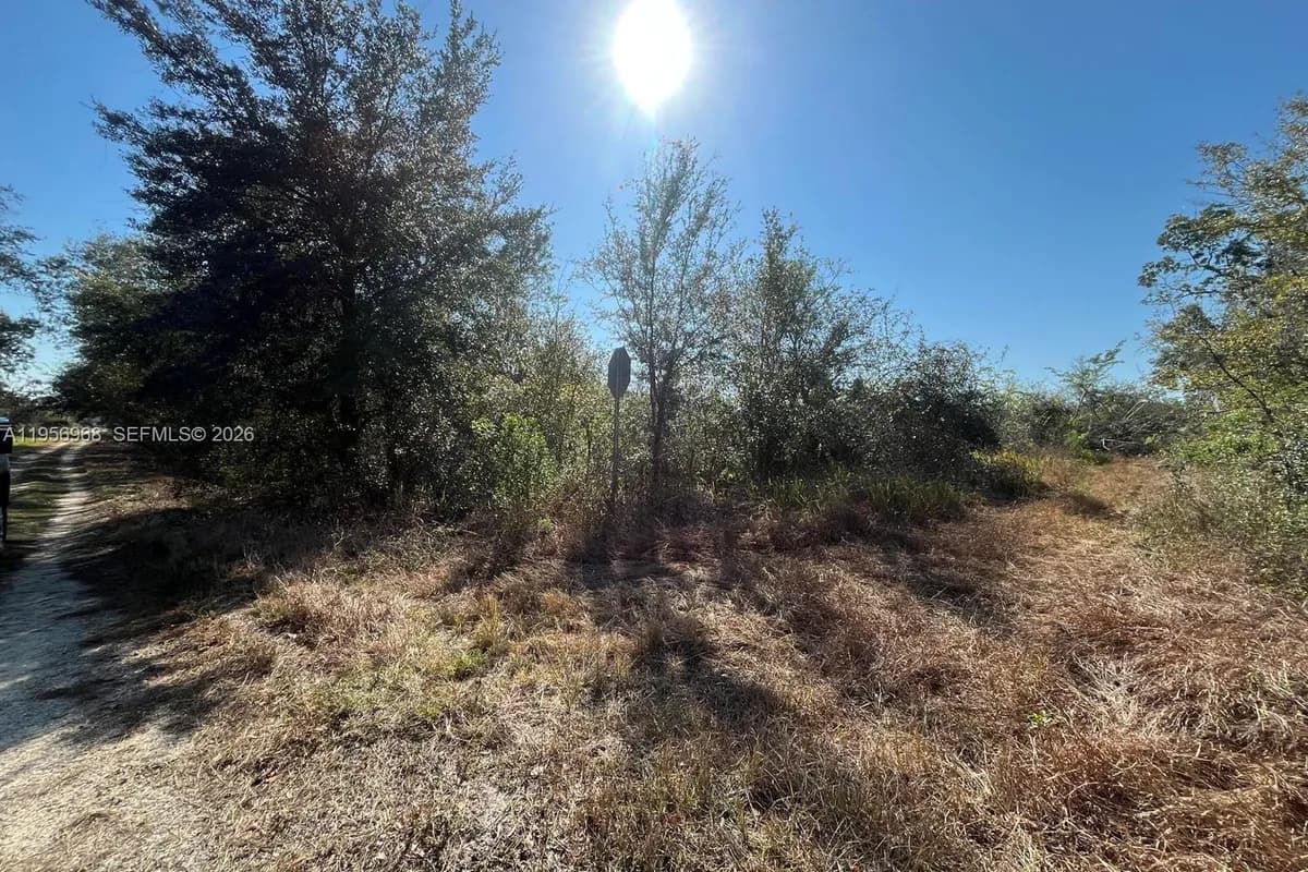 755 lynbrook, Lake Placid FL 33852