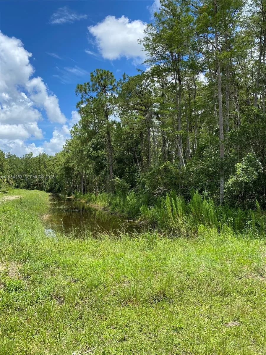 166 Ocean Park Dr, Lehigh Acres FL 33972