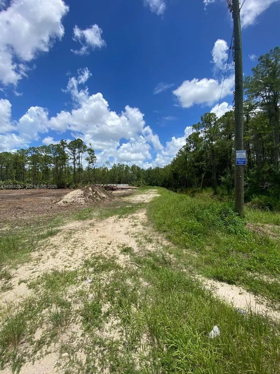 166 Ocean Park Dr, Lehigh Acres FL 33972