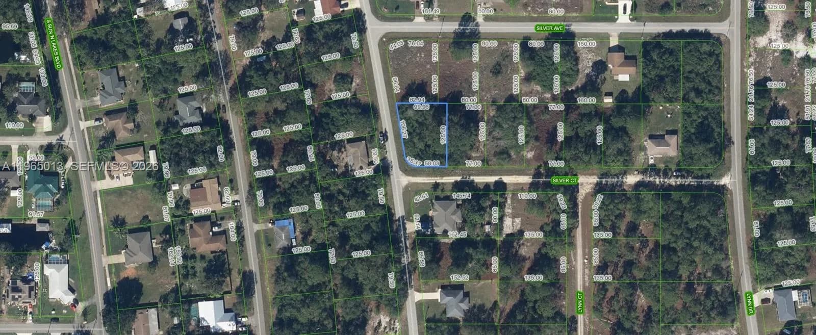 216 Silver Court, Lake Placid FL 33852