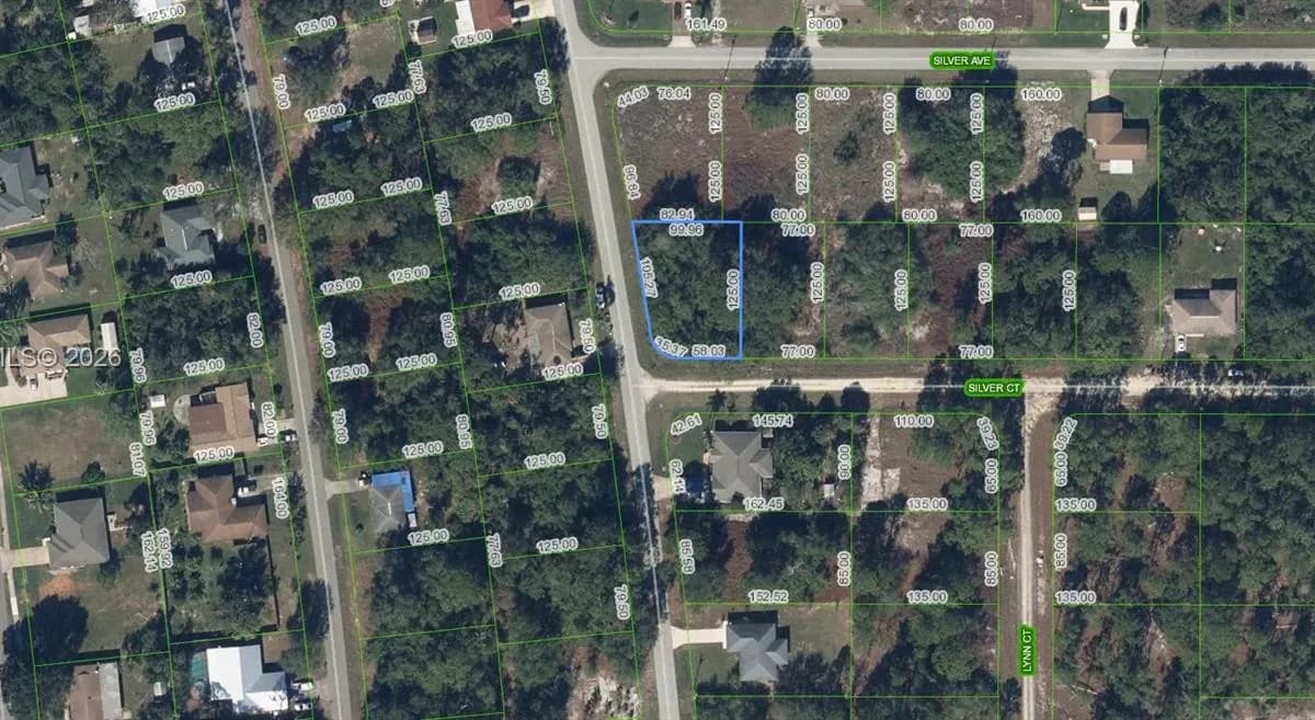 216 Silver Court, Lake Placid FL 33852