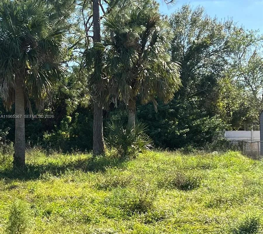 803 W 6th St, Lehigh Acres FL 33792