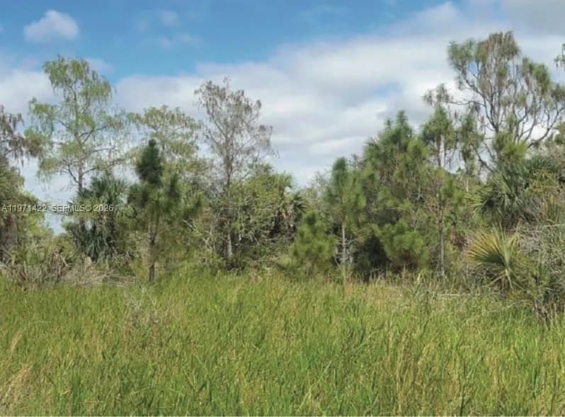 3843 29th Ave, Naples FL 34120