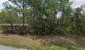 6182 N Buckland Dr, Citrus Springs FL 34434