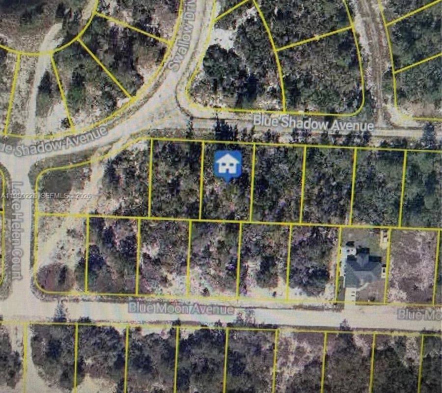 459 RUBA AVE, Lake Placid FL 33852