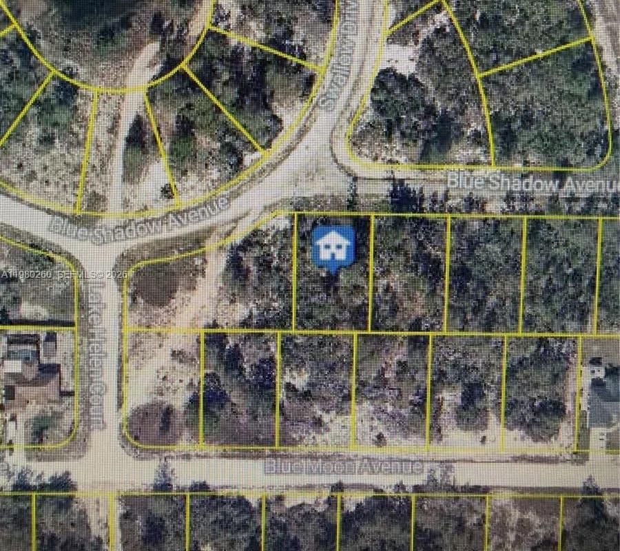 457 RUBA AVE, Lake Placid FL 33852