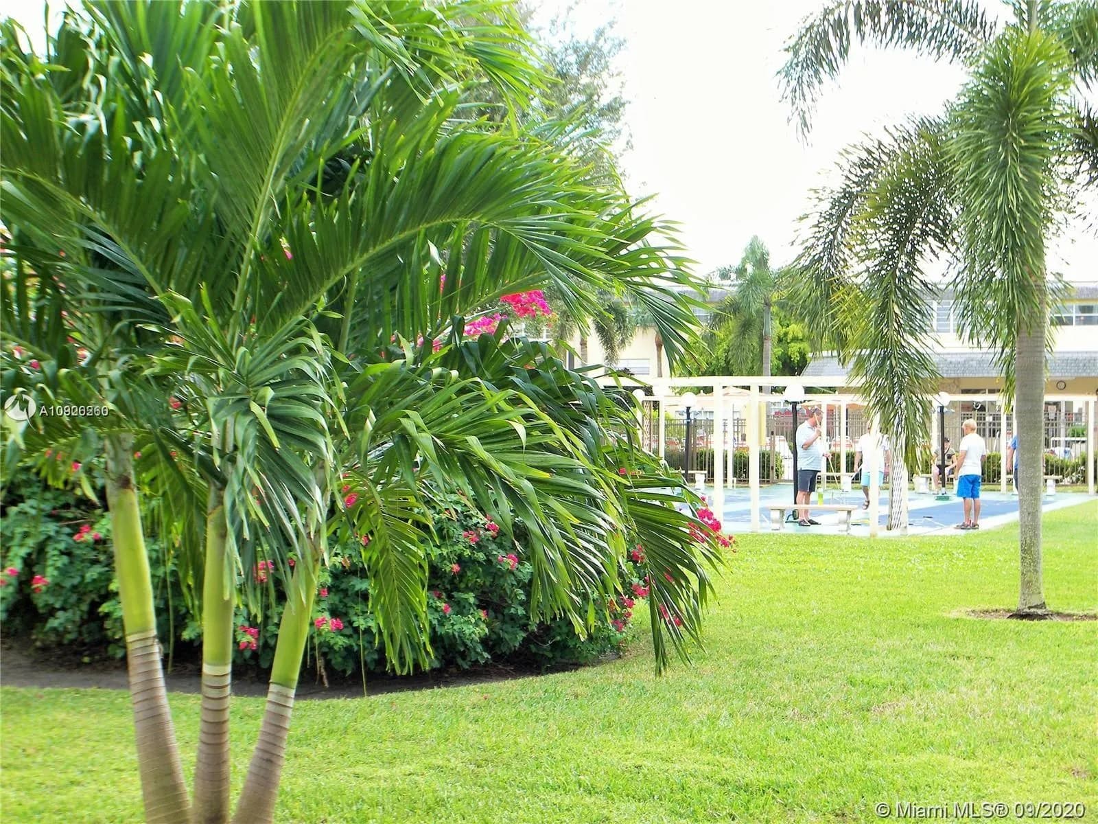 4341 NW 16th St # 206, Lauderhill FL 33313