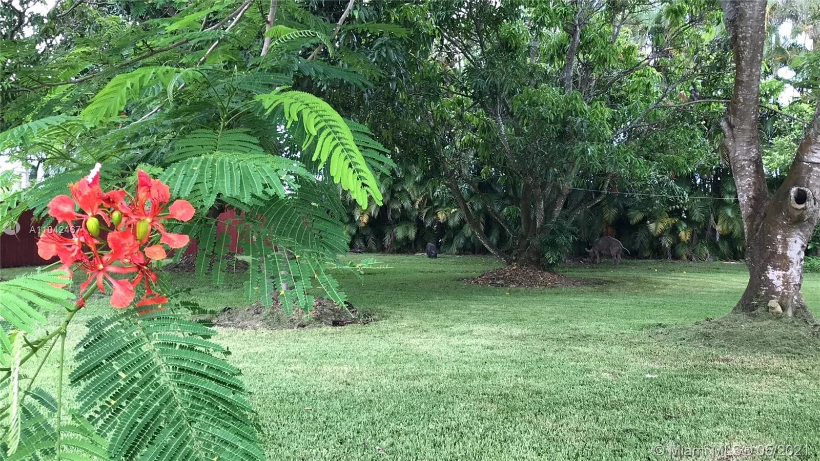 15490 SW 209th Ave, Miami FL 33187