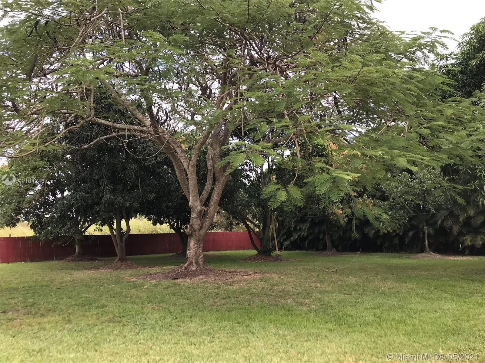 15490 SW 209th Ave, Miami FL 33187