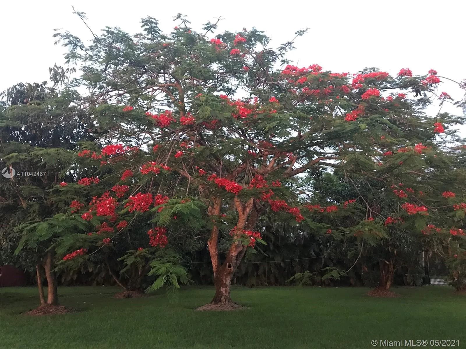 15490 SW 209th Ave, Miami FL 33187