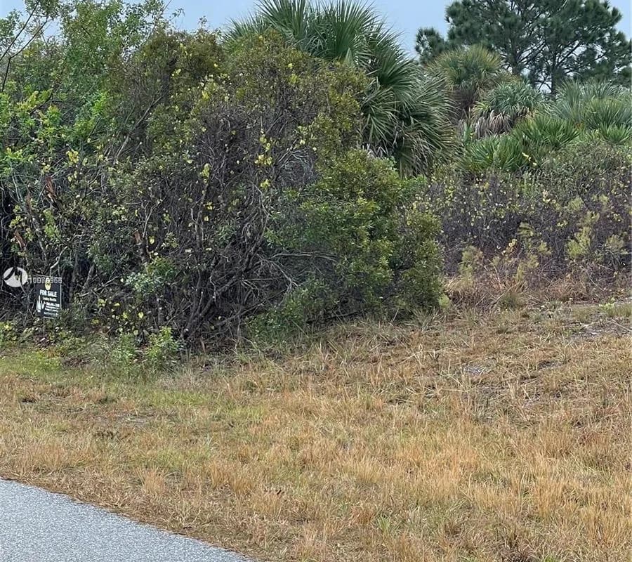 13321 Blake Dr, Port Charlotte FL 33981