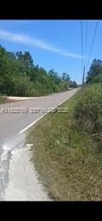 0 Richardson Blvd, Other City - In The State Of Florida FL 33597