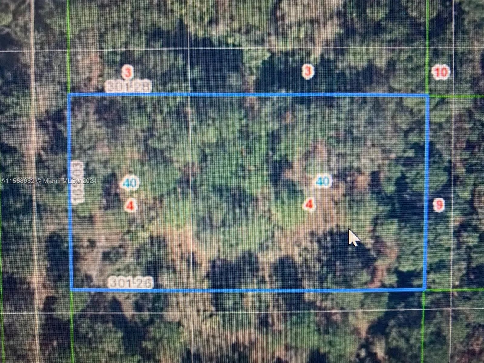 1939 S Griese Road, Avon Park FL 33825